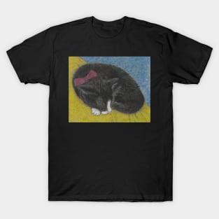 Sleeping Tuxedo cat T-Shirt